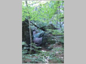 20200701 03 Im_grossen_Hebelstein.jpg